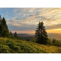2 Tage 3 Herbstwohlfühltage im Sauerland all in light Gut Funkenhof in Sundern (Sauerland) inkl. Halbpension Plus Unkategorisiert online kaufen 2 Tage 3 Herbstwohlfühltage im Sauerland all in light Gut Funkenhof in Sundern (Sauerland) inkl. Halbpension Plus Unkategorisiert online kaufen