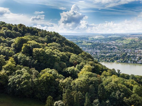 2 Tage Aktivurlaub mit Freunden in Königswinter I 2 Nächte JUFA Hotel Königswinter/Bonn inkl. Halbpension Unkategorisiert online kaufen 2 Tage Aktivurlaub mit Freunden in Königswinter I 2 Nächte JUFA Hotel Königswinter/Bonn inkl. Halbpension Unkategorisiert online kaufen