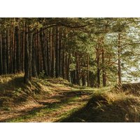 2 Tage Alltagspause im Sauerland Schlosshotel Brilon-Wald inkl. Halbpension Unkategorisiert online kaufen