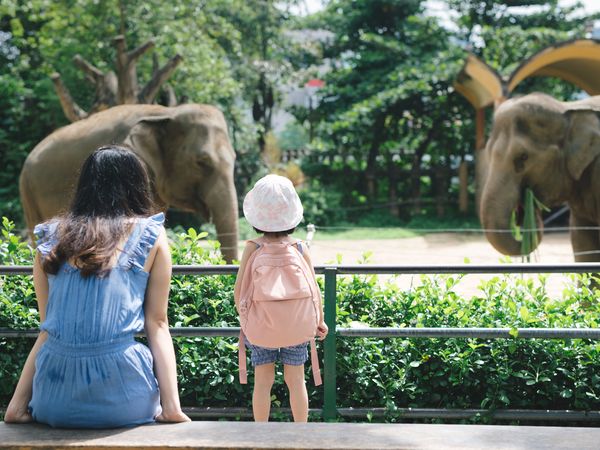 2 Tage Ausflug in den Wuppertaler Zoo Postboutiquehotel Wuppertal inkl. Frühstück Unkategorisiert online kaufen