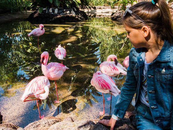 2 Tage Besuch im Zoo Wuppertal: Ein Tag voller Entdeckungen Golfhotel Vesper in Sprockhövel inkl. Frühstück Unkategorisiert online kaufen 2 Tage Besuch im Zoo Wuppertal: Ein Tag voller Entdeckungen Golfhotel Vesper in Sprockhövel inkl. Frühstück Unkategorisiert online kaufen