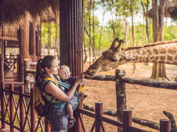 2 Tage Familienspaß im Ruhrgebiet inkl. Zoom Erlebniswelt Holiday Inn Essen City Centre inkl. Frühstück Unkategorisiert online kaufen 2 Tage Familienspaß im Ruhrgebiet inkl. Zoom Erlebniswelt Holiday Inn Essen City Centre inkl. Frühstück Unkategorisiert online kaufen