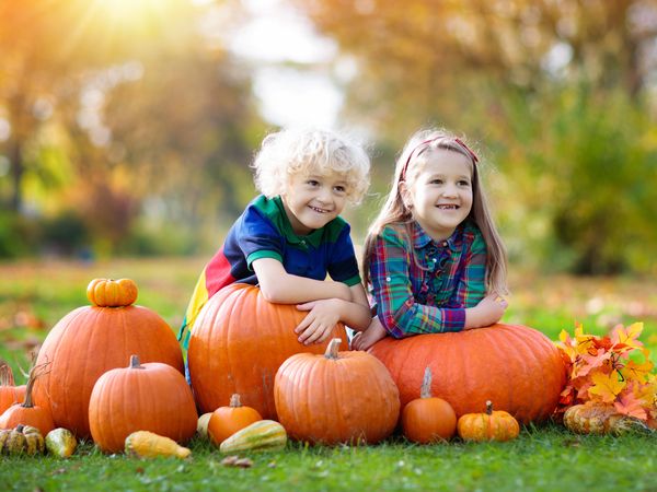 2 Tage Happy Halloween mit Kürbis und Kastanie Landidyll Hotel & Restaurant Lindenhof in Bad Laasphe inkl. Halbpension Unkategorisiert online kaufen