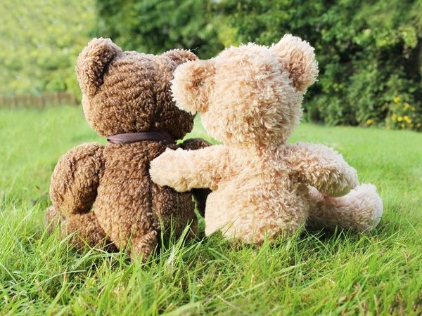 2 Tage HP+: Kuscheln und Zeit zu zweit im Panorama Hotel Panorama Hotel Winterberg inkl. Halbpension Plus Unkategorisiert online kaufen