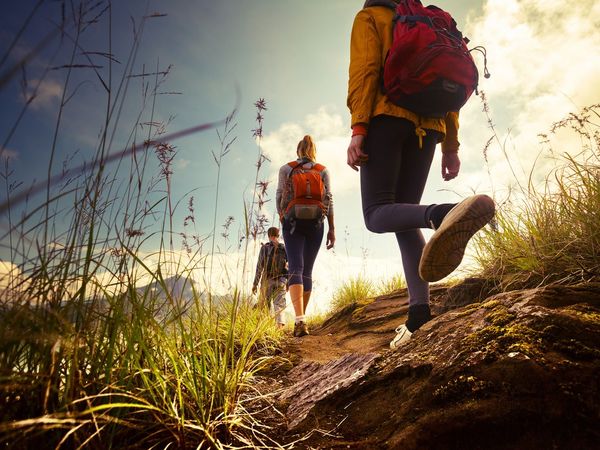 2 Tage Kleines Wandererlebnis im Rothaargebirge - 2 Nächte Dorint Parkhotel Siegen inkl. Frühstück Unkategorisiert online kaufen 2 Tage Kleines Wandererlebnis im Rothaargebirge - 2 Nächte Dorint Parkhotel Siegen inkl. Frühstück Unkategorisiert online kaufen