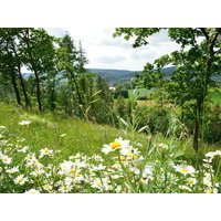2 Tage Kleines Zwischendurchvergnügen Wohlfühlhotel Der JÄGERHOF in Willebadessen inkl. Halbpension Unkategorisiert online kaufen