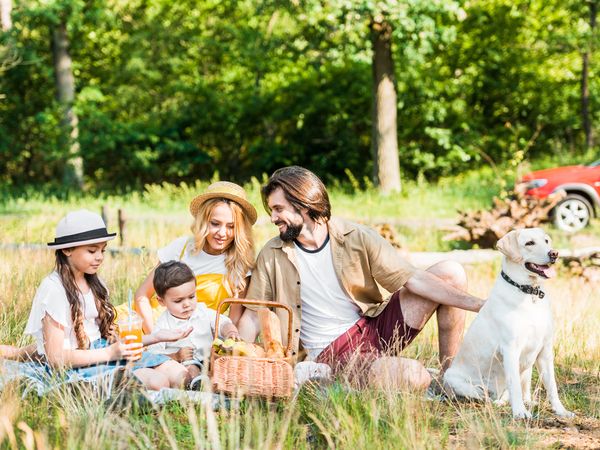 2 Tage Köln - eine Städtereise mit Hund Park Inn by Radisson Köln City West inkl. Frühstück Unkategorisiert online kaufen 2 Tage Köln - eine Städtereise mit Hund Park Inn by Radisson Köln City West inkl. Frühstück Unkategorisiert online kaufen