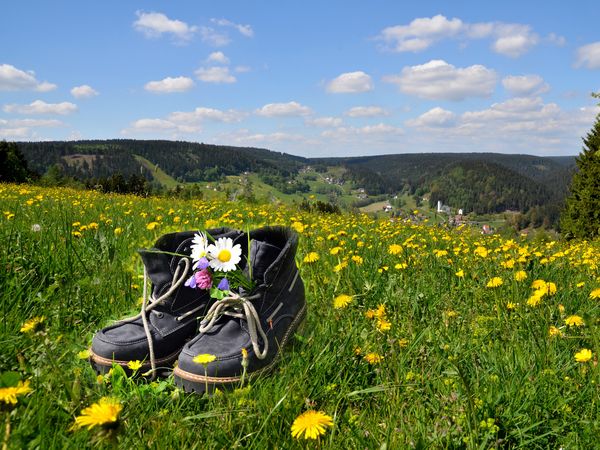 2 Tage Natur, durchatmen, wandern - Auszeit im Sauerland Sunderland Hotel in Sundern (Sauerland) inkl. Frühstück Unkategorisiert online kaufen