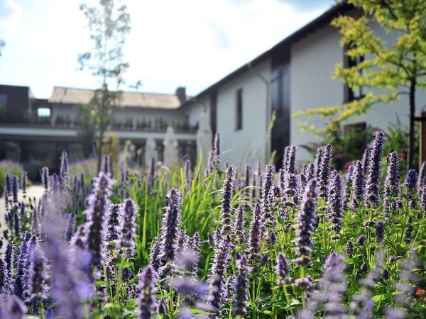 2 Tage Pure Entspannung am Niederrhein Landhaus Beckmann in Kalkar OT Kehrum inkl. Halbpension Unkategorisiert online kaufen 2 Tage Pure Entspannung am Niederrhein Landhaus Beckmann in Kalkar OT Kehrum inkl. Halbpension Unkategorisiert online kaufen