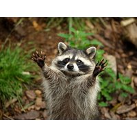 2 Tage Sommerferien im Teutoburger Wald inkl. Tierparkbesuch COMFORT GARNI HOTEL in Bielefeld inkl. Halbpension Unkategorisiert online kaufen 2 Tage Sommerferien im Teutoburger Wald inkl. Tierparkbesuch COMFORT GARNI HOTEL in Bielefeld inkl. Halbpension Unkategorisiert online kaufen