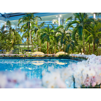 2 Tage Therme Euskirchen Dorint Venusberg Bonn inkl. Halbpension Unkategorisiert online kaufen 2 Tage Therme Euskirchen Dorint Venusberg Bonn inkl. Halbpension Unkategorisiert online kaufen