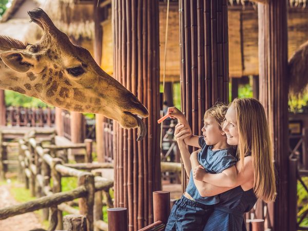 2 Tage Tierparkerlebnis à la Mercure Mercure Hotel Hamm inkl. Halbpension Unkategorisiert online kaufen