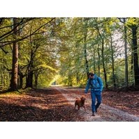 2 Tage Urlaub für 4 Pfoten - Erholung mit dem Hund HP | 3Tg. Parkhotel Gütersloh inkl. Halbpension Unkategorisiert online kaufen