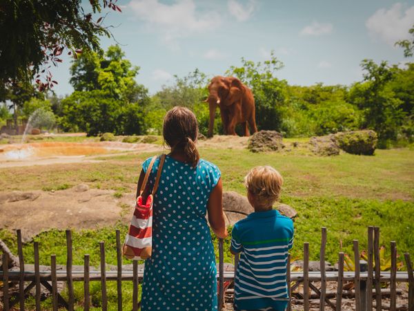2 Tage Urlaub in Wuppertal mit Besuch des Grünen Zoos mit HP Golfhotel Vesper in Sprockhövel inkl. Halbpension Unkategorisiert online kaufen