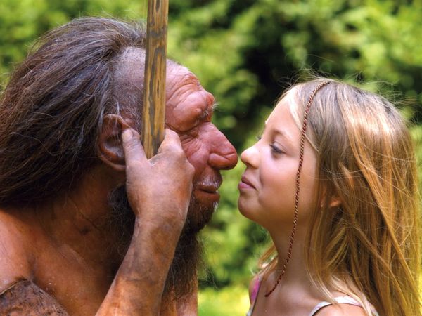 3 Tage - Entdecke das Neanderland mit Museum Best Western Plus Hotel Stadtquartier Haan inkl. Halbpension Unkategorisiert online kaufen