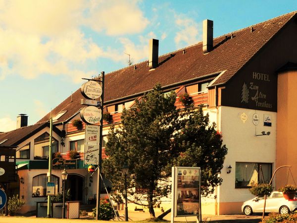 3 Tage Entspannte Ostertage im "Alten Forsthaus"! Zum Alten Forsthaus in Hürtgenwald OT Vossenack inkl. Halbpension Unkategorisiert online kaufen