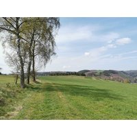 3 Tage Frühlingserwachen im Haus am See Haus am See in Simmerath inkl. Halbpension Unkategorisiert online kaufen