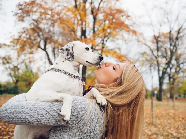 3 Tage Köln - eine Städtereise mit Hund Park Inn by Radisson Köln City West inkl. Frühstück Unkategorisiert online kaufen 3 Tage Köln - eine Städtereise mit Hund Park Inn by Radisson Köln City West inkl. Frühstück Unkategorisiert online kaufen