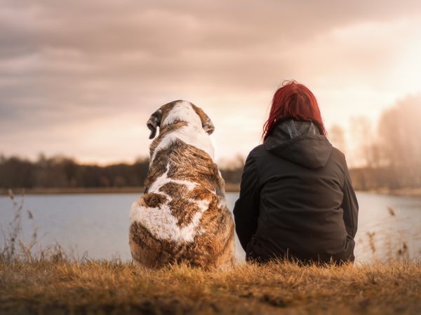 3 Tage Urlaub mit Hund Hotel & Restaurant Schwiizeralp in Stemwede inkl. Halbpension Unkategorisiert online kaufen 3 Tage Urlaub mit Hund Hotel & Restaurant Schwiizeralp in Stemwede inkl. Halbpension Unkategorisiert online kaufen