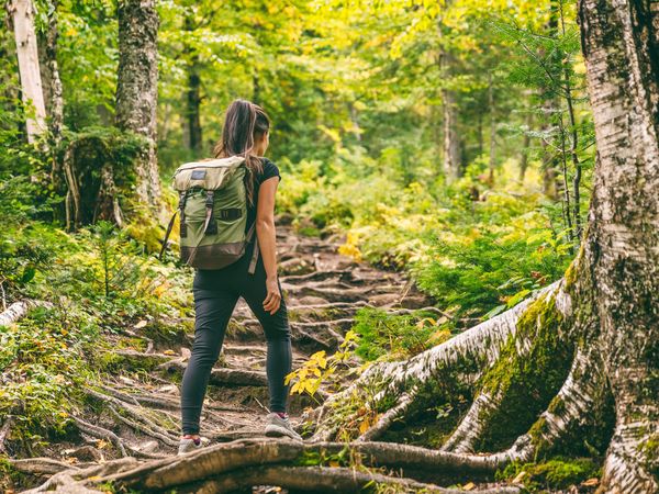 3 Tage Wandern in und um Bad Salzuflen Hotel & Cafe Rosengarten inkl. Frühstück Unkategorisiert online kaufen