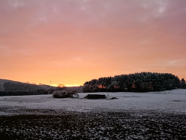 3 Tage Winter im Sauerland - Ski & Rodel gut! Landidyll Hotel & Restaurant Lindenhof in Bad Laasphe inkl. Halbpension Unkategorisiert online kaufen 3 Tage Winter im Sauerland - Ski & Rodel gut! Landidyll Hotel & Restaurant Lindenhof in Bad Laasphe inkl. Halbpension Unkategorisiert online kaufen