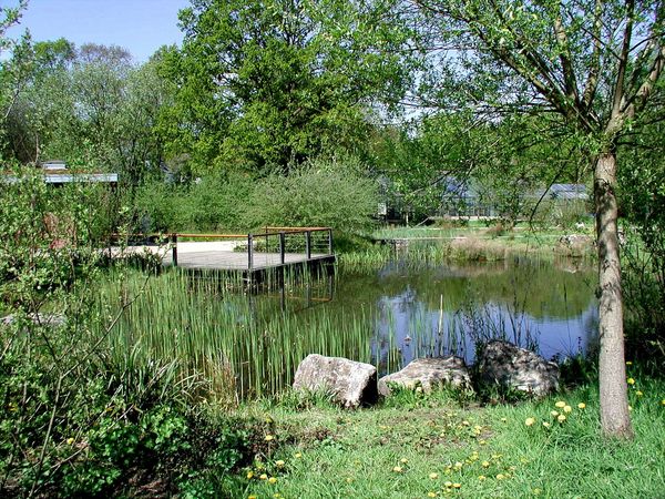3 Tage Wohlfühlen und entspannen im Apfelbaum - 3 Nächte Ringhotel Appelbaum in Gütersloh inkl. Frühstück Unkategorisiert online kaufen