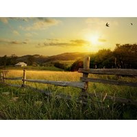 4 Tage Bauernhof-Idylle im Wanderparadies Berg. Land Victor's Residenz-Hotel Gummersbach inkl. Halbpension Unkategorisiert online kaufen