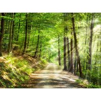 4 Tage Erfrischende Erholung im Rosengarten Hotel & Cafe Rosengarten in Bad Salzuflen inkl. Frühstück Unkategorisiert online kaufen