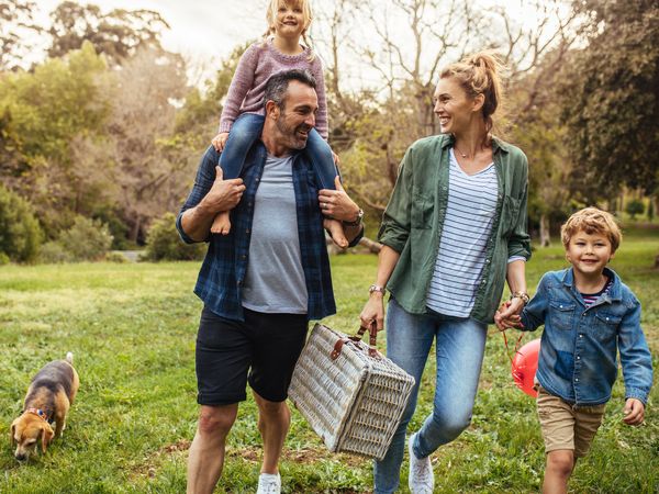 4 Tage Köln - eine Städtereise mit Hund Park Inn by Radisson Köln City West inkl. Frühstück Unkategorisiert online kaufen 4 Tage Köln - eine Städtereise mit Hund Park Inn by Radisson Köln City West inkl. Frühstück Unkategorisiert online kaufen