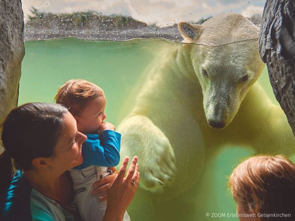 4 Tage - Tierisches Vergnügen in Zoom Erlebniswelt Best Western Plus Parkhotel Velbert inkl. Frühstück Unkategorisiert online kaufen
