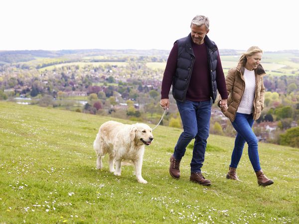 4 Tage Urlaub mit Hund – ein tierisch guter Urlaub Romantik Landhotel Doerr in Bad Laasphe inkl. Frühstück Unkategorisiert online kaufen