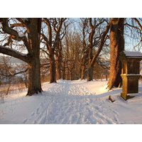 4 Tage Weihnachten 2025 im Teutoburger Wald (23.-27.12.2025) Wohlfühlhotel Der JÄGERHOF in Willebadessen inkl. Halbpension Unkategorisiert online kaufen 4 Tage Weihnachten 2025 im Teutoburger Wald (23.-27.12.2025) Wohlfühlhotel Der JÄGERHOF in Willebadessen inkl. Halbpension Unkategorisiert online kaufen