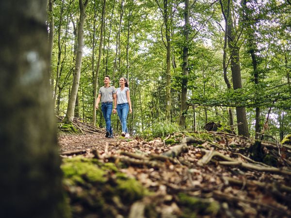 5 Tage 6-tägiger Golftrip ins Romantik Hotel im Sauerland Romantik Hotel Störmann in Schmallenberg inkl. Frühstück Unkategorisiert online kaufen