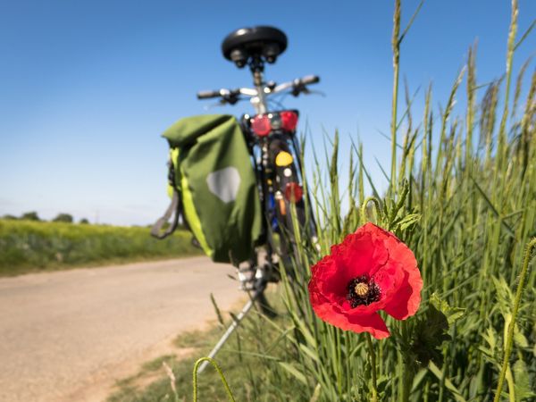 5 Tage Grünes Herz Ostwestfalens-Radler-Eldorado | 6 Tg. Parkhotel Gütersloh inkl. Frühstück Unkategorisiert online kaufen