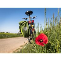 5 Tage Grünes Herz Ostwestfalens-Radler-Eldorado HP | 6 Tg. Parkhotel Gütersloh inkl. Halbpension Unkategorisiert online kaufen