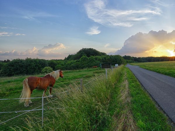 5 Tage Wanderspaß im Bergischen Land mit Halbpension Hotel Willmeroth Hofbräu in Windeck inkl. Halbpension Unkategorisiert online kaufen
