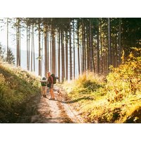 6 Tage Wanderurlaub in der Eifel Haus am See in Simmerath inkl. Halbpension Unkategorisiert online kaufen 6 Tage Wanderurlaub in der Eifel Haus am See in Simmerath inkl. Halbpension Unkategorisiert online kaufen