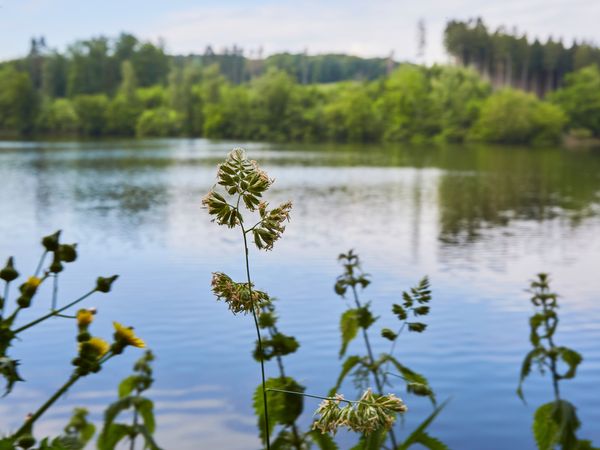 7 Tage 1 Woche Möhnetal-Urlaub Landhotel Püster in Warstein inkl. Halbpension Unkategorisiert online kaufen 7 Tage 1 Woche Möhnetal-Urlaub Landhotel Püster in Warstein inkl. Halbpension Unkategorisiert online kaufen