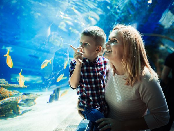 Eine Reise durch die Artenvielfalt im Wuppertaler Zoo Golfhotel Vesper in Sprockhövel inkl. Frühstück Unkategorisiert online kaufen