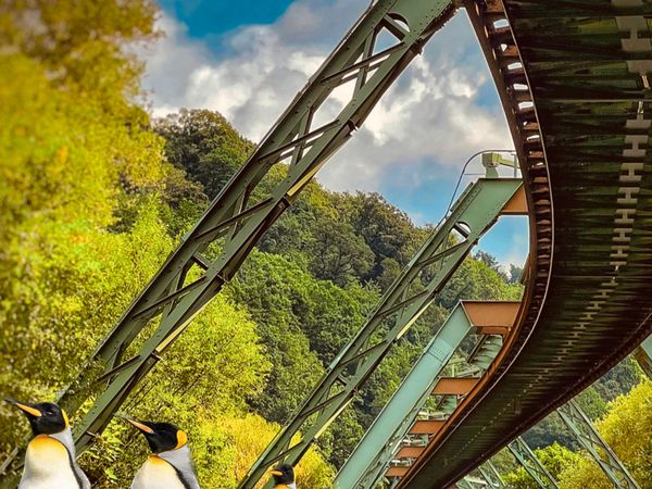 Familienspaß im Wuppertaler-Zoo Hotel Amical inkl. Frühstück Unkategorisiert online kaufen