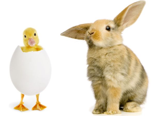 HP+: 4 Tage Osterspecial im Sauerland Panorama Hotel Winterberg inkl. Halbpension Plus Unkategorisiert online kaufen HP+: 4 Tage Osterspecial im Sauerland Panorama Hotel Winterberg inkl. Halbpension Plus Unkategorisiert online kaufen