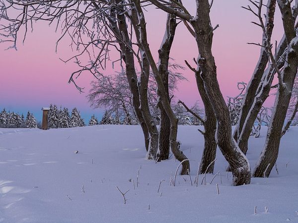 HP+: Winterberger Mini-Auszeit Panorama Hotel Winterberg inkl. Halbpension Plus Unkategorisiert online kaufen
