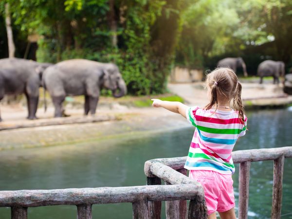 Kurztrip in den Grünen Zoo Postboutiquehotel Wuppertal inkl. Frühstück Unkategorisiert online kaufen