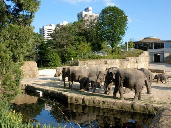 Kurzurlaub im Kölner Zoo (Cologne Zoo) 1 Nacht PhiLeRo Hotel Köln inkl. Frühstück Unkategorisiert online kaufen