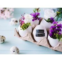 Ostern entspannt genießen inkl. Halbpension | 4 Tage Trans World Hotel Kranichhöhe in Much inkl. Halbpension Unkategorisiert online kaufen
