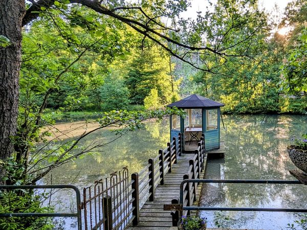 Pfötchenurlaub – 2 Tage Erholung für Zwei- und Vierbeiner Waldhotel Silbermühle in Horn-Bad Meinberg inkl. Frühstück Unkategorisiert online kaufen Pfötchenurlaub – 2 Tage Erholung für Zwei- und Vierbeiner Waldhotel Silbermühle in Horn-Bad Meinberg inkl. Frühstück Unkategorisiert online kaufen