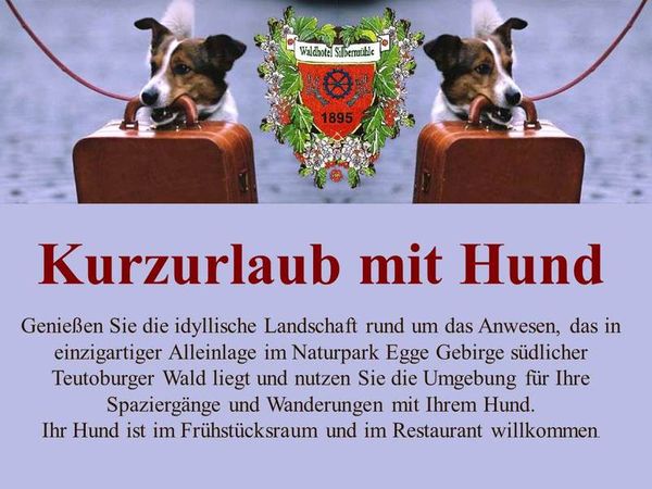 Pfötchenurlaub – 3 Tage Erholung für Zwei- und Vierbeiner Waldhotel Silbermühle in Horn-Bad Meinberg inkl. Halbpension Unkategorisiert online kaufen