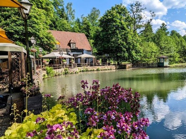 Pfötchenurlaub – 8 Tage Erholung für Zwei- und Vierbeiner Waldhotel Silbermühle in Horn-Bad Meinberg inkl. Halbpension Unkategorisiert online kaufen