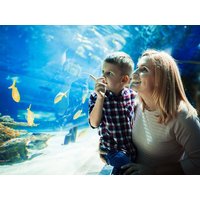 Tierische Abenteuer im Zoo Köln - 3 Tage Best Western Plus Hotel Köln City inkl. Halbpension Unkategorisiert online kaufen Tierische Abenteuer im Zoo Köln - 3 Tage Best Western Plus Hotel Köln City inkl. Halbpension Unkategorisiert online kaufen
