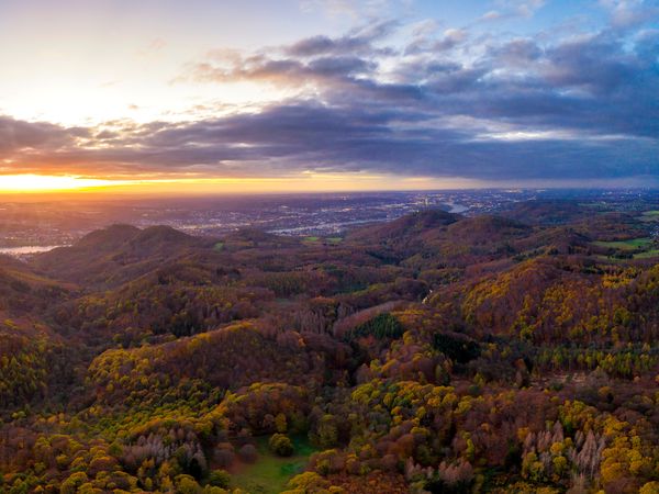 Wandertage auf dem Rheinsteig - 2 Tage Hotel Deutsches Haus in Bonn inkl. Frühstück Unkategorisiert online kaufen Wandertage auf dem Rheinsteig - 2 Tage Hotel Deutsches Haus in Bonn inkl. Frühstück Unkategorisiert online kaufen